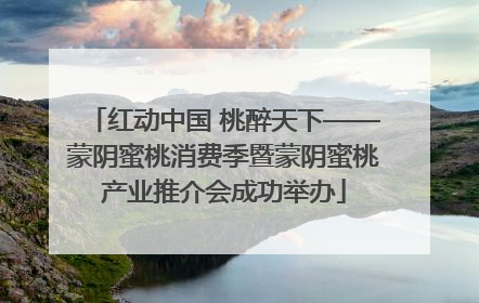 红动中国 桃醉天下——蒙阴蜜桃消费季暨蒙阴蜜桃产业推介会成功举办
