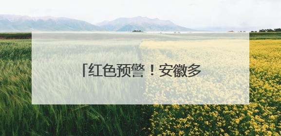 红色预警！安徽多地进入高风险状态