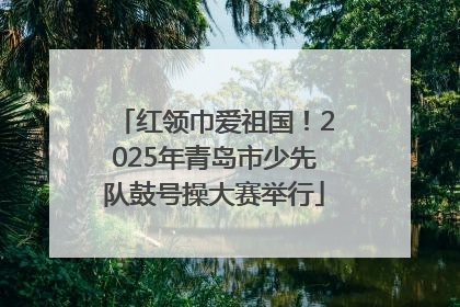 红领巾爱祖国！2025年青岛市少先队鼓号操大赛举行