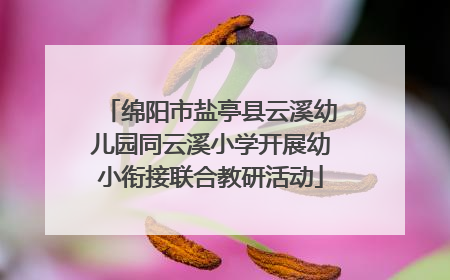 绵阳市盐亭县云溪幼儿园同云溪小学开展幼小衔接联合教研活动