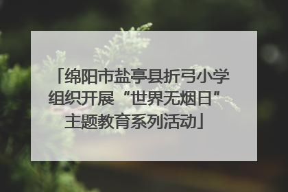 绵阳市盐亭县折弓小学组织开展“世界无烟日”主题教育系列活动