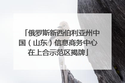 俄罗斯新西伯利亚州中国（山东）信息商务中心在上合示范区揭牌