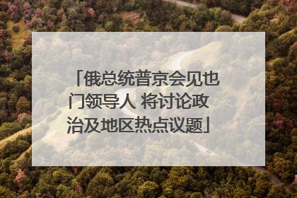 俄总统普京会见也门领导人 将讨论政治及地区热点议题