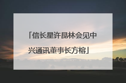 信长星许昆林会见中兴通讯董事长方榕