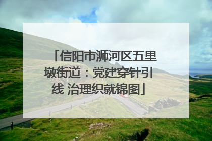 信阳市浉河区五里墩街道：党建穿针引线 治理织就锦图