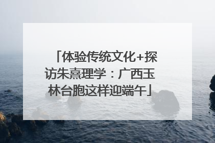 体验传统文化+探访朱熹理学：广西玉林台胞这样迎端午