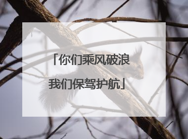 你们乘风破浪 我们保驾护航