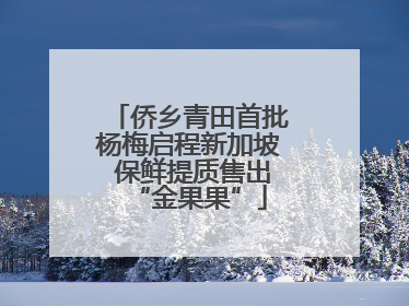 侨乡青田首批杨梅启程新加坡 保鲜提质售出“金果果”