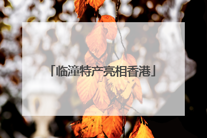 临潼特产亮相香港