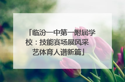临汾一中第一附属学校：技能赛场展风采 艺体育人谱新篇