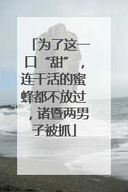 为了这一口“甜”，连干活的蜜蜂都不放过，诸暨两男子被抓
