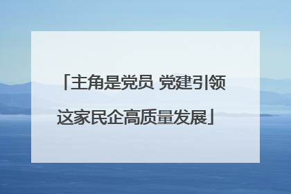 主角是党员 党建引领这家民企高质量发展