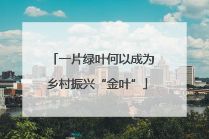 一片绿叶何以成为乡村振兴“金叶”