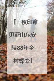 一枚印章见证山东安陵88年乡村蝶变