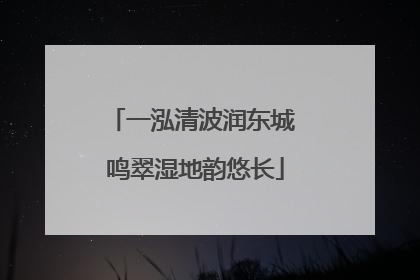 一泓清波润东城 鸣翠湿地韵悠长