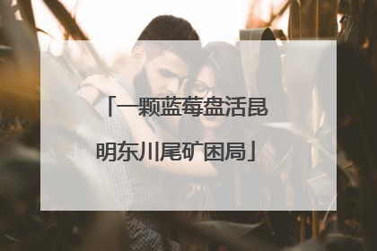 一颗蓝莓盘活昆明东川尾矿困局