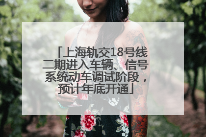 上海轨交18号线二期进入车辆、信号系统动车调试阶段，预计年底开通