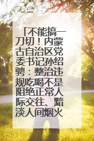 不能搞一刀切！内蒙古自治区党委书记孙绍骋：整治违规吃喝不是阻绝正常人际交往、黯淡人间烟火