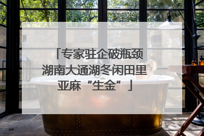 专家驻企破瓶颈 湖南大通湖冬闲田里亚麻“生金”
