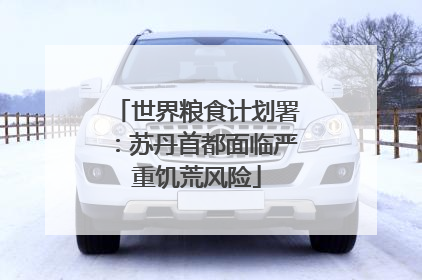 世界粮食计划署：苏丹首都面临严重饥荒风险