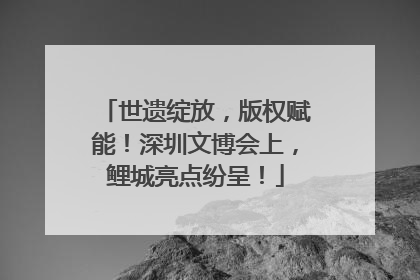 世遗绽放，版权赋能！深圳文博会上，鲤城亮点纷呈！