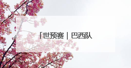 世预赛｜巴西队战平厄瓜多尔队