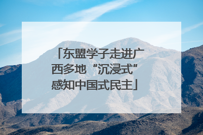 东盟学子走进广西多地“沉浸式”感知中国式民主