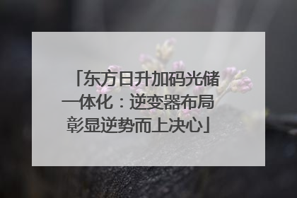 东方日升加码光储一体化：逆变器布局彰显逆势而上决心