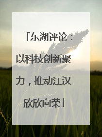 东湖评论：以科技创新聚力，推动江汉欣欣向荣