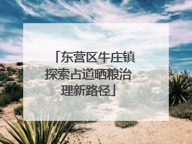 东营区牛庄镇探索占道晒粮治理新路径