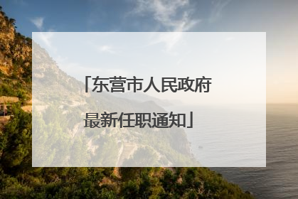 东营市人民政府最新任职通知