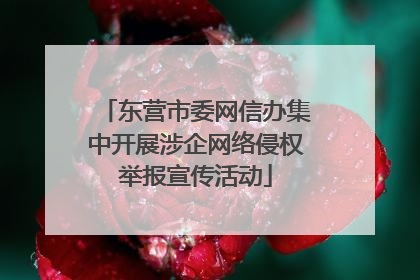 东营市委网信办集中开展涉企网络侵权举报宣传活动