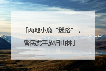 两地小鹿“迷路”，警民携手放归山林