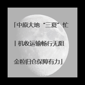 中原大地“三夏”忙丨机收运输畅行无阻 金粒归仓保障有力
