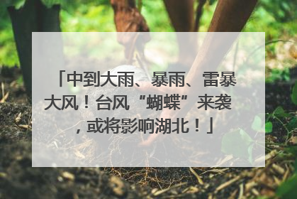 中到大雨、暴雨、雷暴大风！台风“蝴蝶”来袭，或将影响湖北！
