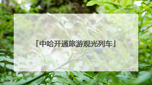 中哈开通旅游观光列车