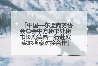 中国—东盟商务协会总会中方秘书处秘书长鹿德晶一行赴滨实地考察对接合作