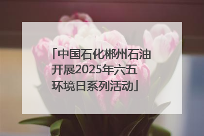 中国石化郴州石油开展2025年六五环境日系列活动