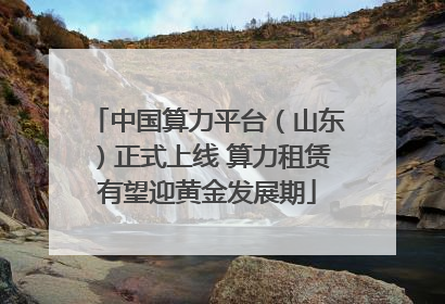 中国算力平台（山东）正式上线 算力租赁有望迎黄金发展期