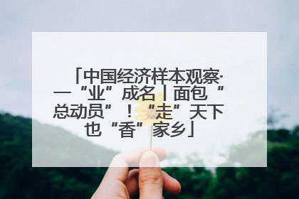 中国经济样本观察·一“业”成名丨面包“总动员”！“走”天下也“香”家乡