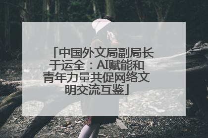 中国外文局副局长于运全：AI赋能和青年力量共促网络文明交流互鉴