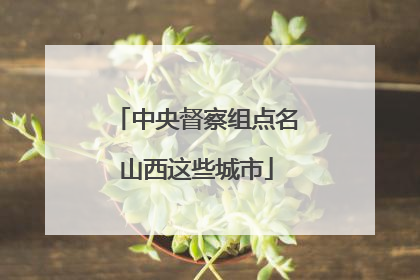 中央督察组点名山西这些城市