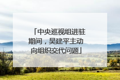 中央巡视组进驻期间，吴建平主动向组织交代问题
