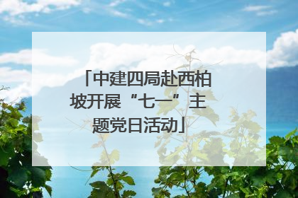 中建四局赴西柏坡开展“七一”主题党日活动