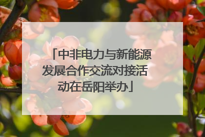 中非电力与新能源发展合作交流对接活动在岳阳举办