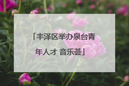 丰泽区举办泉台青年人才 音乐荟