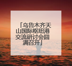 乌鲁木齐天山国际枢纽港交流研讨会圆满召开
