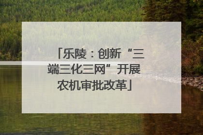 乐陵：创新“三端三化三网”开展农机审批改革