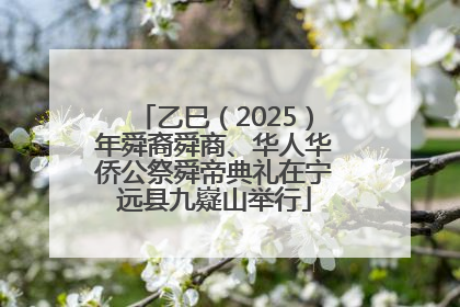 乙巳（2025）年舜裔舜商、华人华侨公祭舜帝典礼在宁远县九嶷山举行
