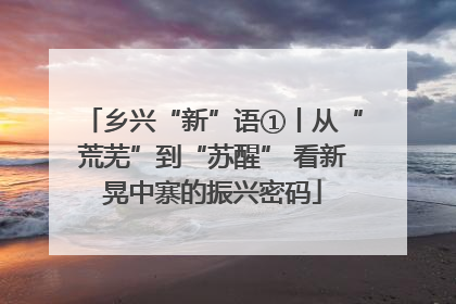 乡兴“新”语①丨从“荒芜”到“苏醒” 看新晃中寨的振兴密码